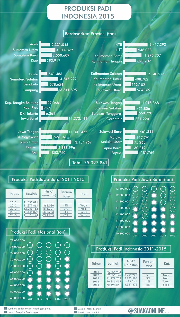 infograpis-pangan-padi-hq